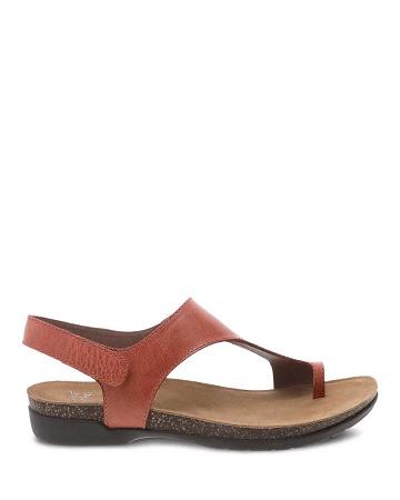 Sandales Dansko Reece Waxy Burnished Femme Orange | FR 989KOR